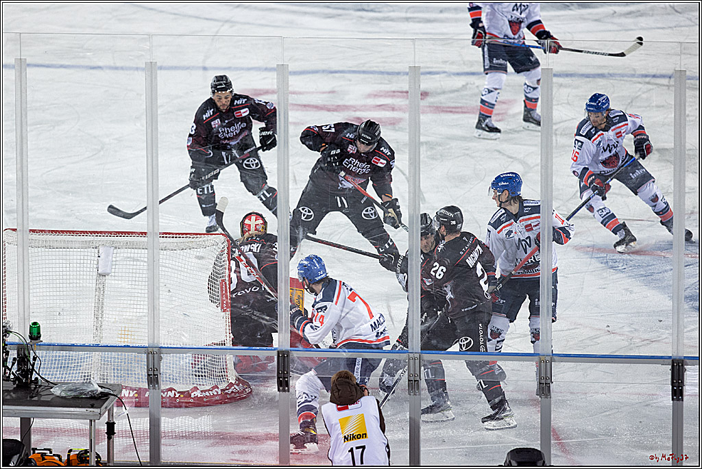 PENNY DEL WINTER GAME;  Kölner Haie - Adler Mannheim; Köln, 03.12.2022